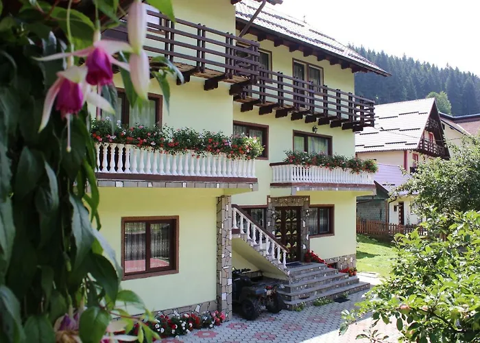 Piscul Muntelui Hotel Moeciu De Sus